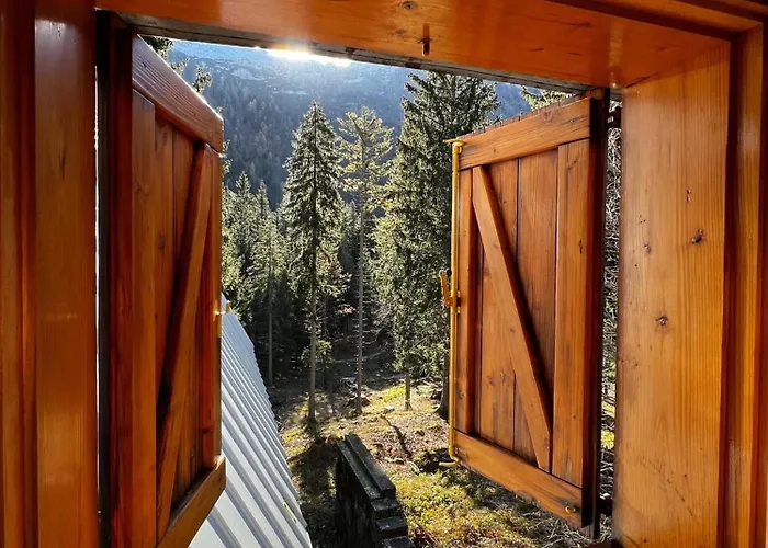 ~chalet_rifugio Tra I Boschi~ * Sella Nevea